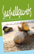 Cover-Bild zum Titel 'Seashellsecrets' von 'Viola D. Hauser'