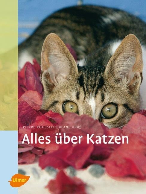 Alles über Katzen - 