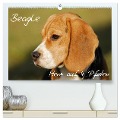 Beagle - Herz auf 4 Pfoten (hochwertiger Premium Wandkalender 2025 DIN A2 quer), Kunstdruck in Hochglanz - Sigrid Starick