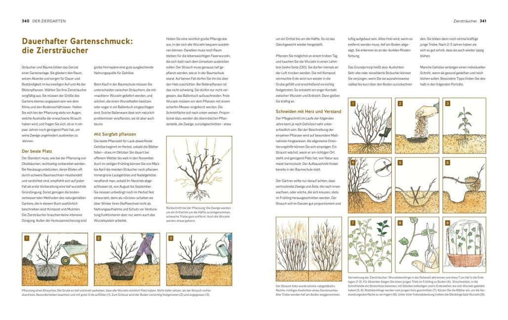 InsideView 8