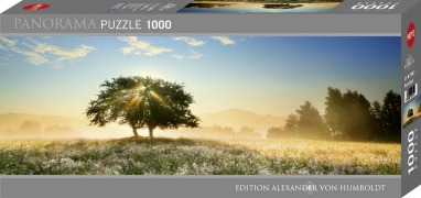 Cover-Bild zum Titel 'Play of Light' von 'Edition Humboldt'