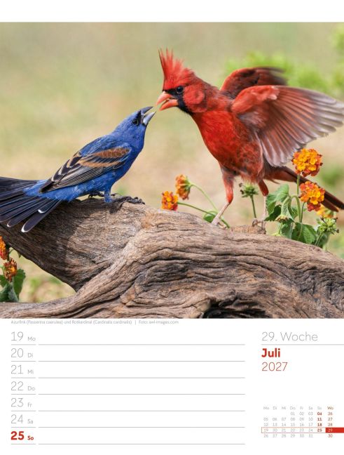 InsideView 33