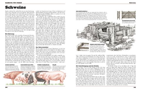 InsideView 4