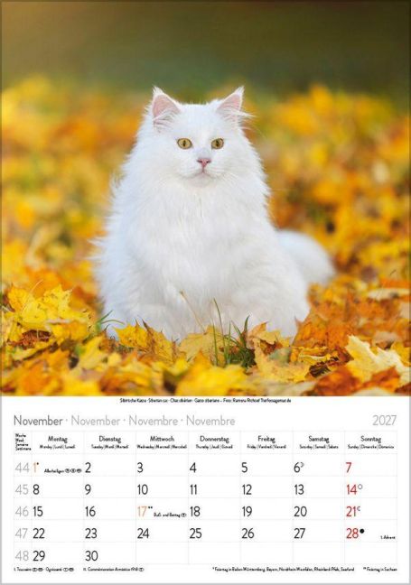 InsideView 11