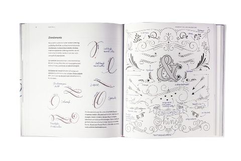 InsideView 16