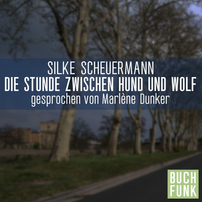 Die Stunde zwischen Hund und Wolf - Silke Scheuermann