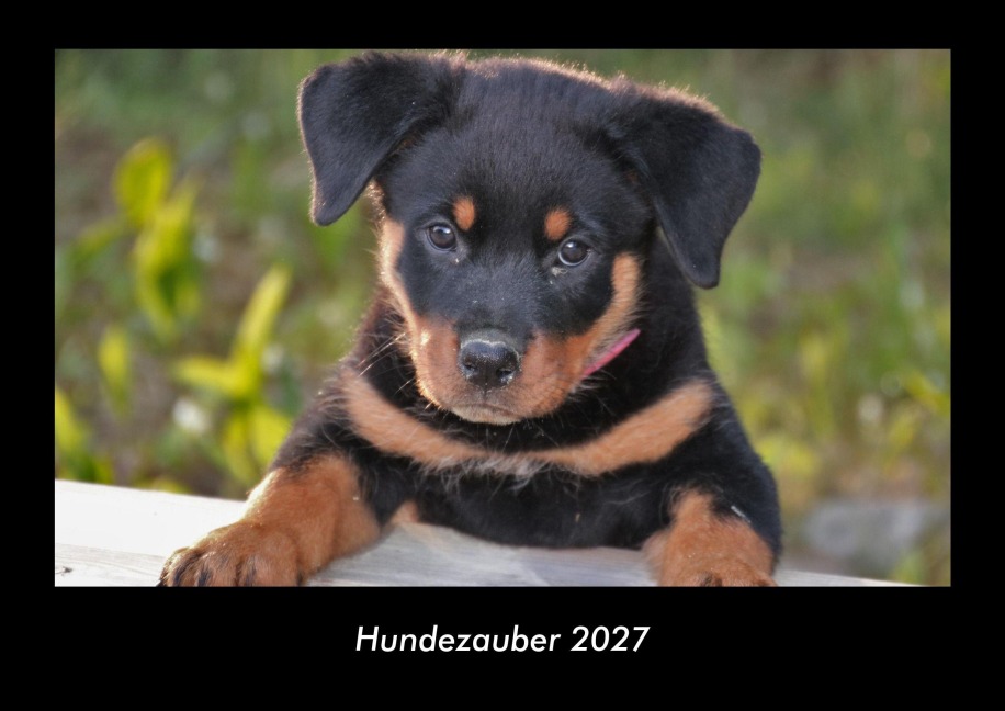 Hundezauber 2027 Fotokalender DIN A3 - Tobias Becker