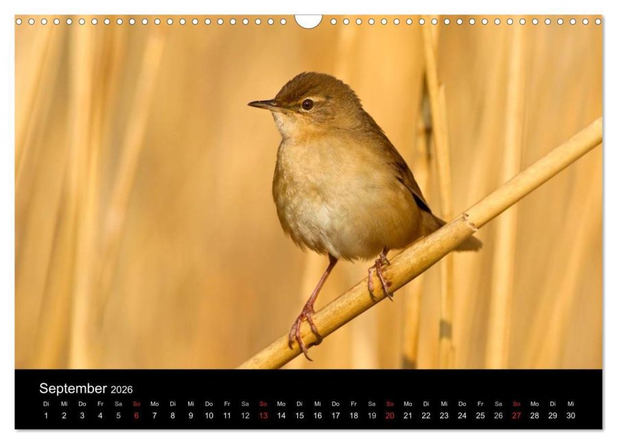 InsideView 14