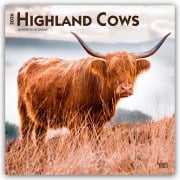 Highland Cows - Hochlandrinder 2026 - 16-Monatskalender - Browntrout Publishers