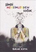 Cover-Bild zum Titel 'Simdi Mevsimlerden Soguk' von 'Burak Kaya'