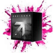 Cover-Bild zum Titel 'Gib nicht auf (Ltd. Fanbox)' von 'Brdigung'