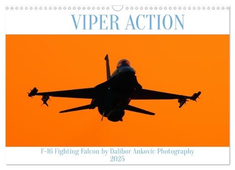 VIPER ACTION - F-16 FIGHTING FALCON (Wandkalender 2025 DIN A3 quer), CALVENDO Monatskalender - Dalibor Ankovic