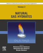 Cover-Bild zum Titel 'Advances in Natural Gas: Formation, Processing, and Applications. Volume 3: Natural Gas Hydrates' von ''