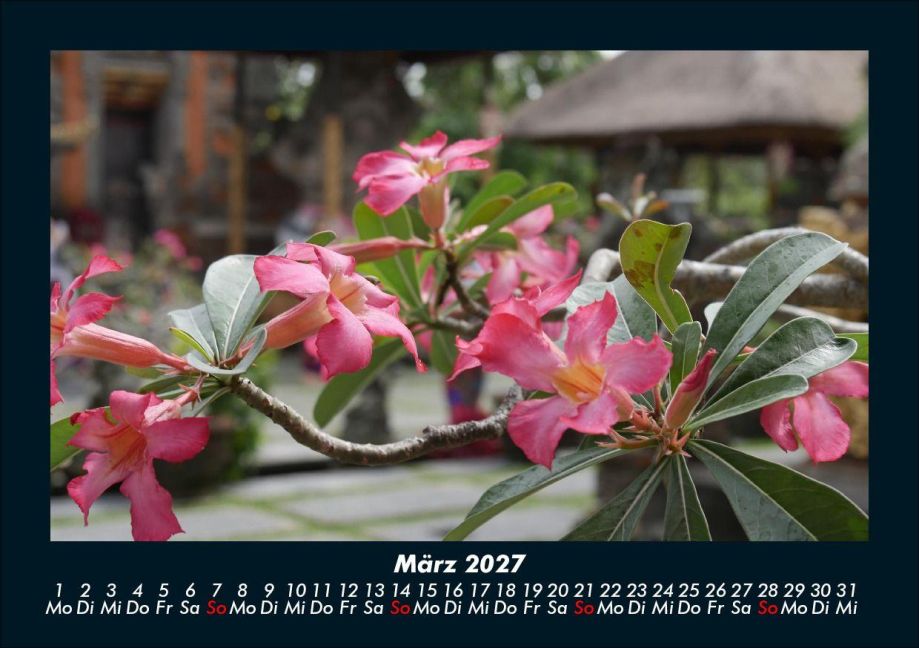 InsideView 7