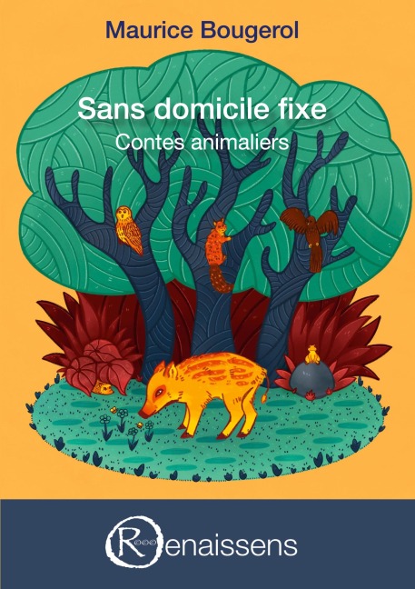 Sans domicile fixe - Maurice Bougerol