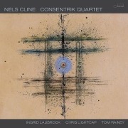Consentrik Quartet - Nels Cline