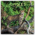 Jungles - Dschungel 2025 - 16-Monatskalender - Gifted Stationery Co. Ltd