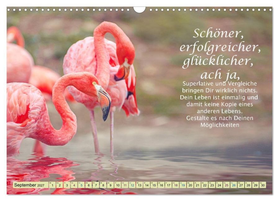 InsideView 14