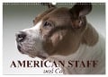 American Staff und Co. (Wandkalender 2024 DIN A3 quer), CALVENDO Monatskalender - Elisabeth Stanzer