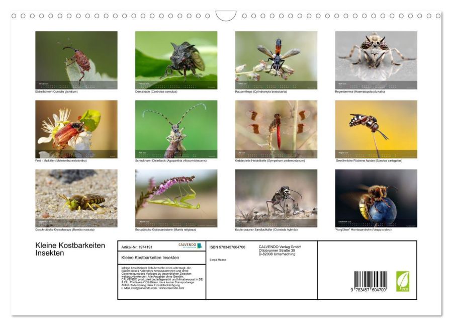 InsideView 5