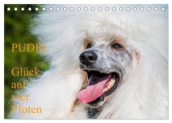 Cover-Bild zum Titel 'Pudel - Glück auf vier Pfoten (Tischkalender 2026 DIN A5 quer), CALVENDO Monatskalender' von 'Sigrid Starick'