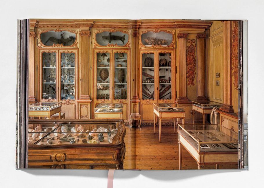 InsideView 10