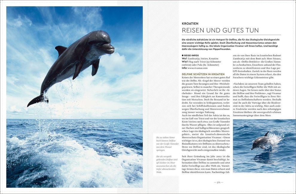 InsideView 15
