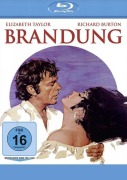Cover-Bild zum Titel 'Brandung' von 'Tennessee Williams, John Barry'