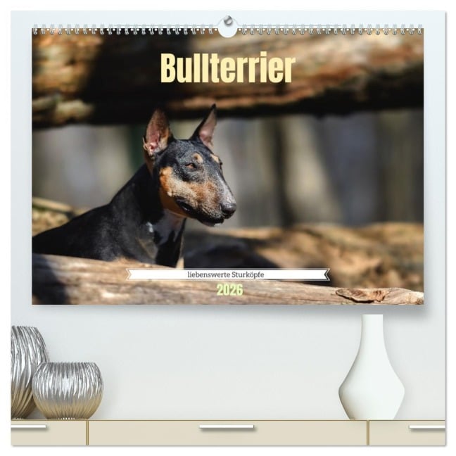 Bullterrier, liebenswerte Sturköpfe (hochwertiger Premium Wandkalender 2026 DIN A2 quer), Kunstdruck in Hochglanz - Yvonne Janetzek