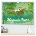 Heimische Fische: Karpfen, Forelle, Hecht (hochwertiger Premium Wandkalender 2025 DIN A2 quer), Kunstdruck in Hochglanz - Calvendo Calvendo