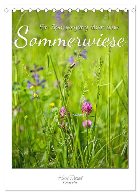 Ein Spaziergang über eine Sommerwiese (Tischkalender 2024 DIN A5 hoch), CALVENDO Monatskalender - Karin Dietzel