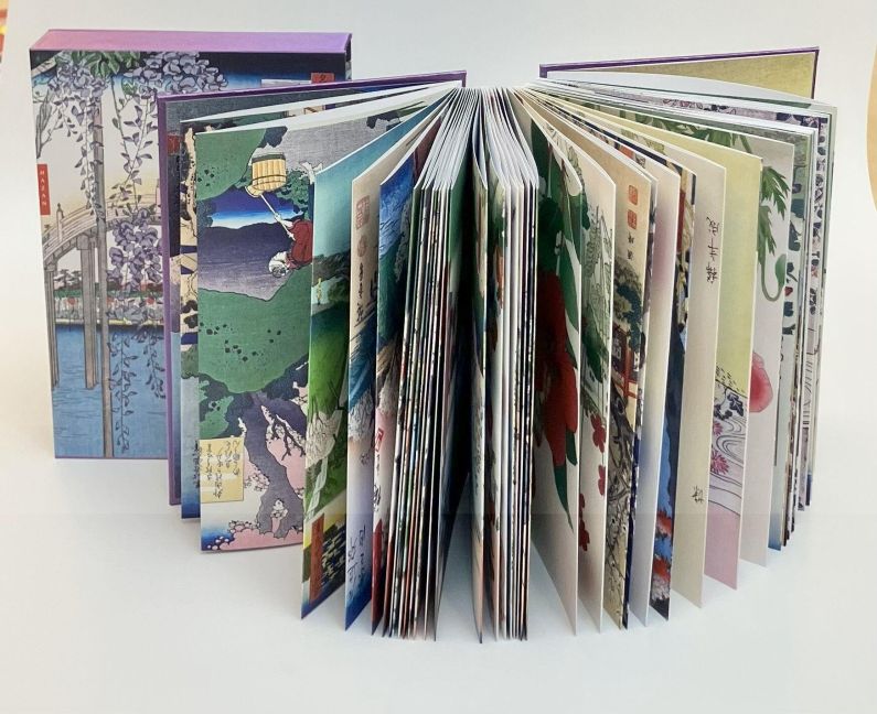 InsideView 11