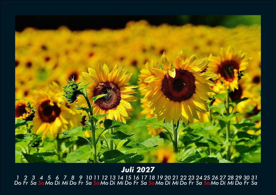 InsideView 11