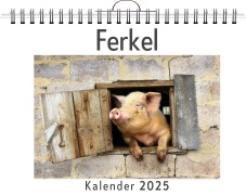 Cover-Bild zum Titel 'Ferkel - (Wandkalender 2025, Kalender DIN A4 quer, Monatskalender im Querformat mit Kalendarium, das perfekte Geschenk)' von 'Sofia Münch'