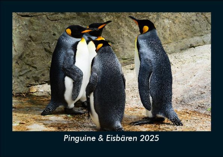 Pinguine & Eisbären 2025 Fotokalender DIN A5 - Tobias Becker