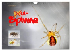 ui - Spinne. Kleine Spinnen - groß im Bild (Wandkalender 2026 DIN A4 quer), CALVENDO Monatskalender - Heinz Schmidbauer