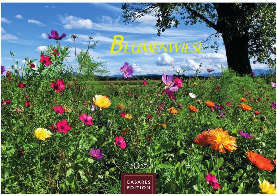 Blumenwiese Kalender 2027 - Wandkalender | Fotokalender Naturkalender 35x50cm | Wunderschöne Fotos der blühenden Natur - 