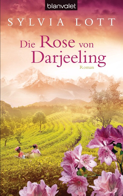 Die Rose von Darjeeling - Sylvia Lott