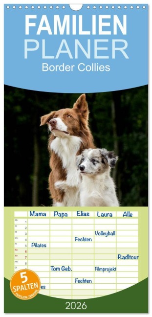 Familienplaner 2026 - Border Collies 2026 mit 5 Spalten (Wandkalender, 21 x 45 cm) CALVENDO - Christine Hemlep