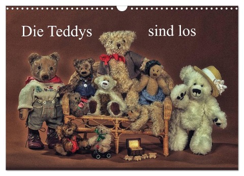 Die Teddys sind los (Wandkalender 2025 DIN A3 quer), CALVENDO Monatskalender - Claus Eckerlin