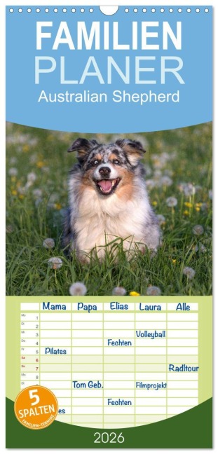 Familienplaner 2026 - Australian Shepherd mit 5 Spalten (Wandkalender, 21 x 45 cm) CALVENDO - Annett Mirsberger Www. Tierpfoto. De