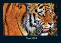 Tiger 2024 Fotokalender DIN A4 - Tobias Becker