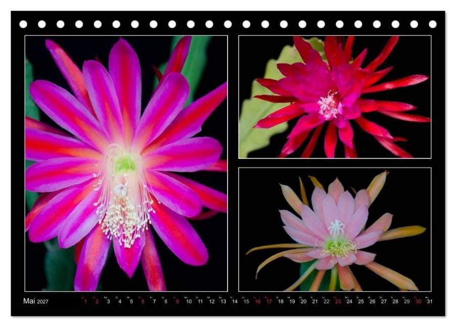 InsideView 10