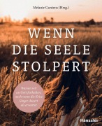 Cover-Bild zum Titel 'Wenn die Seele stolpert' von 'Melanie Carstens'