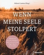 Cover-Bild zum Titel 'Wenn meine Seele stolpert' von ''