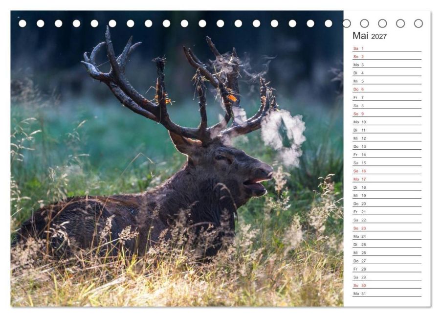 InsideView 10