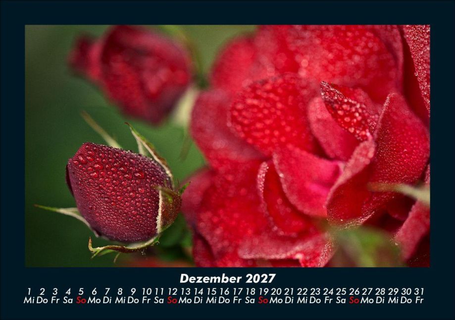 InsideView 4