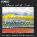 Cover-Bild zum Titel 'Dances with the Winds' von 'Petri Alanko'