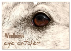 Windhunde eye-catcher (Wandkalender 2026 DIN A4 quer), CALVENDO Monatskalender - Pfoten-Design Andrea Redecker