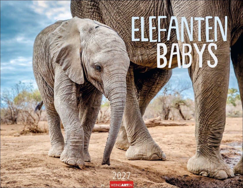 Elefantenbabys Kalender 2027 - 